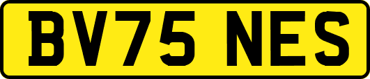 BV75NES