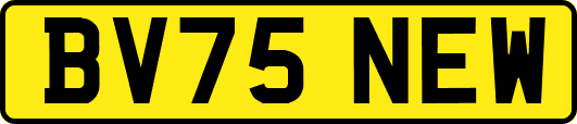 BV75NEW