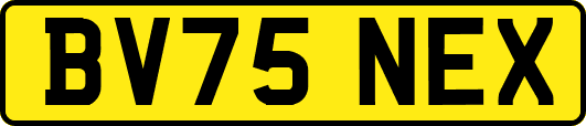 BV75NEX