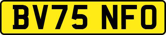 BV75NFO
