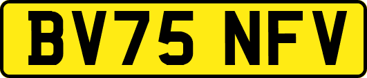 BV75NFV