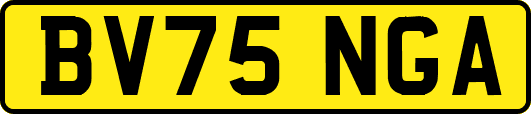 BV75NGA