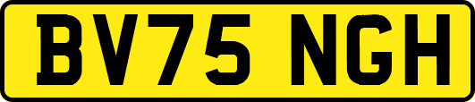 BV75NGH