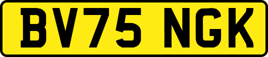 BV75NGK