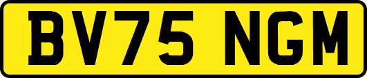 BV75NGM