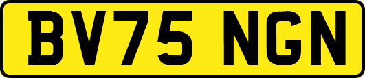 BV75NGN