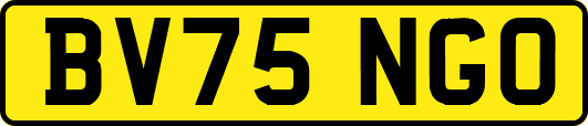 BV75NGO