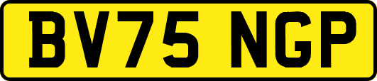 BV75NGP