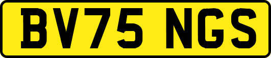 BV75NGS