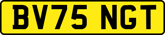 BV75NGT