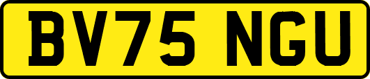 BV75NGU