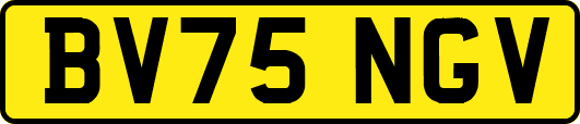 BV75NGV
