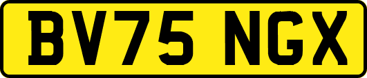 BV75NGX