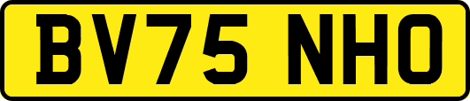 BV75NHO