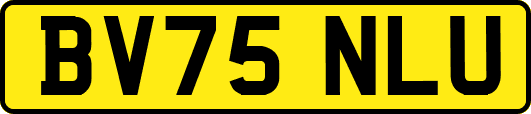 BV75NLU