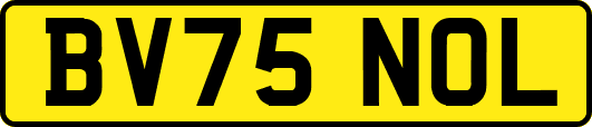 BV75NOL