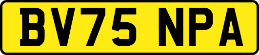 BV75NPA