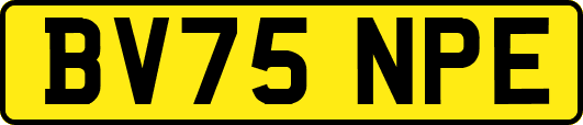 BV75NPE