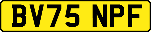 BV75NPF
