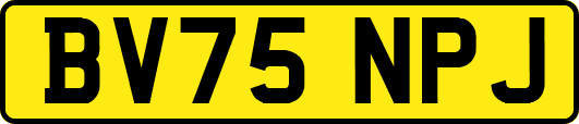 BV75NPJ