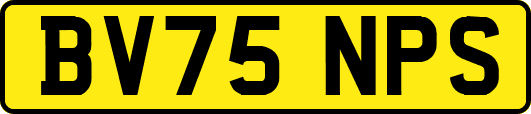 BV75NPS