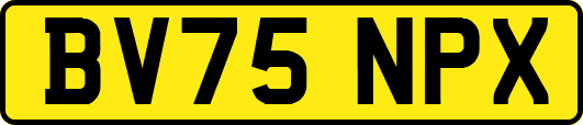 BV75NPX