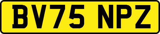 BV75NPZ