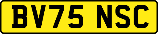 BV75NSC