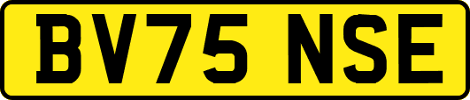 BV75NSE