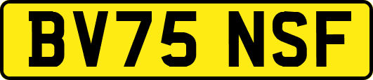 BV75NSF
