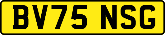 BV75NSG