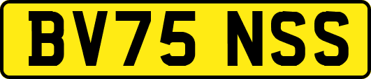 BV75NSS