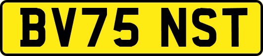 BV75NST