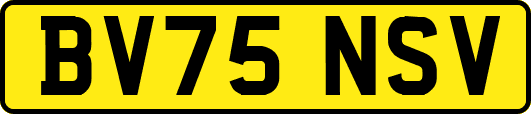 BV75NSV