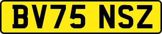 BV75NSZ