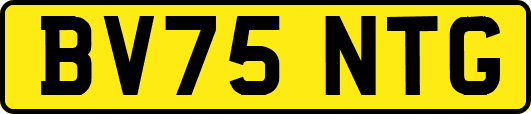 BV75NTG