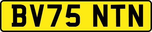 BV75NTN