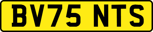 BV75NTS