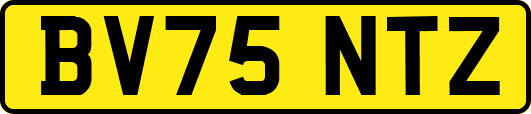 BV75NTZ
