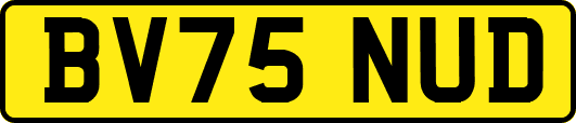 BV75NUD