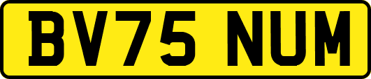 BV75NUM