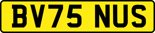 BV75NUS