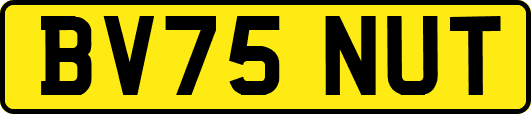 BV75NUT