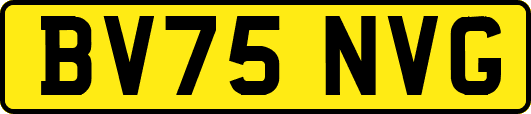 BV75NVG