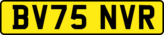 BV75NVR