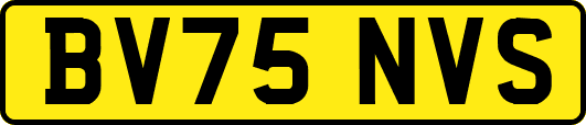 BV75NVS