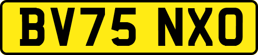 BV75NXO