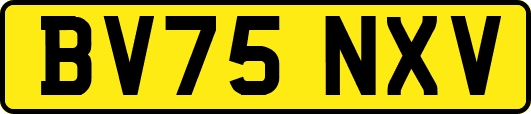 BV75NXV