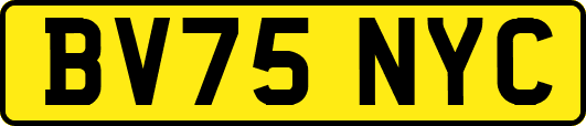 BV75NYC