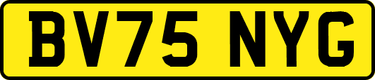 BV75NYG